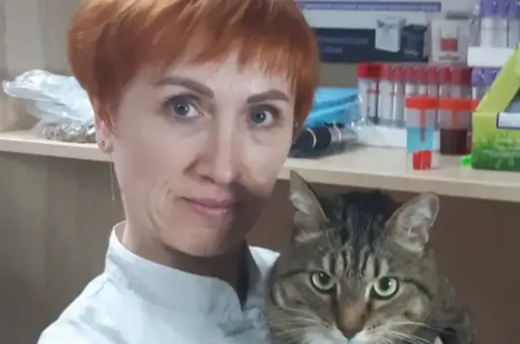 Ветеринарная клиника Black cat