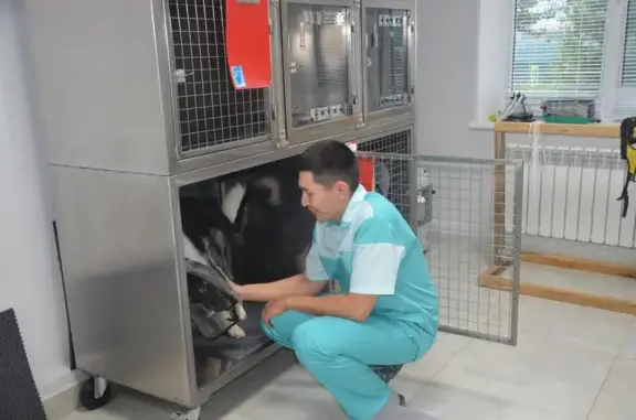 Ветеринарная клиника Верный друг на Народной улице