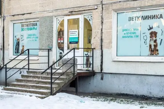 Ветеринарная клиника хирургическое отделение