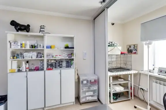 Вет-сервис, ветеринарная клиника