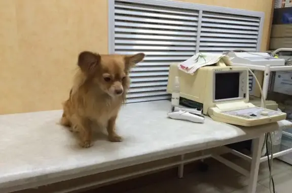 Друг, сеть зоомаркетов и ветеринарных аптек