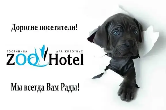 Гостиница для животных ZooHotel на Рязанской улице