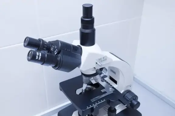 Слон, ветеринарный центр