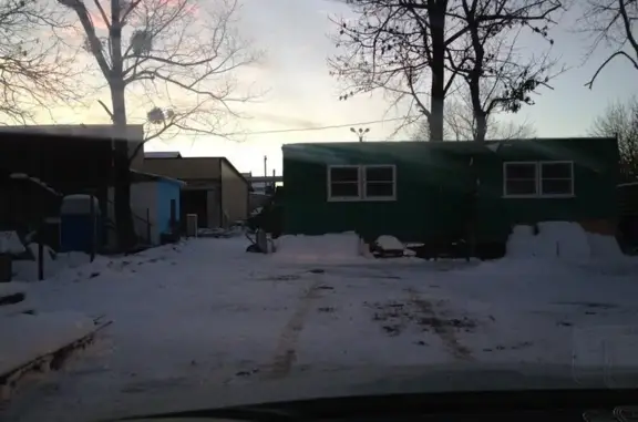 Приют для животных Лучший друг