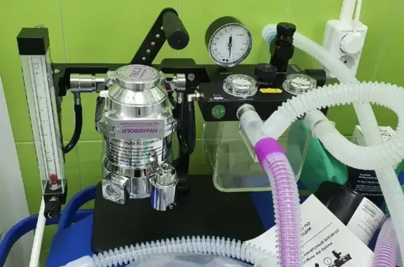 Ветеринарная клиника Друг в Мотовилихинском районе