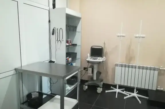 Веттерра, ветеринарная клиника