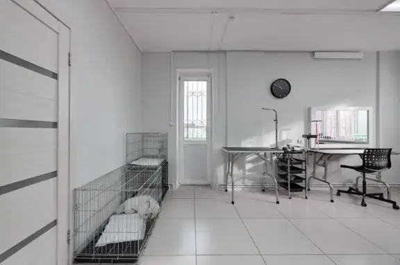 Зоосалон Ёшкин кот на Красноармейской улице