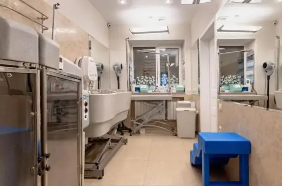 Груминг-салон AFF-VET на метро Дунайская