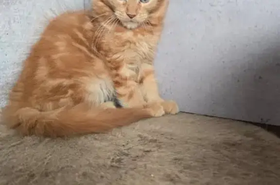 Зооцентр Leoruss