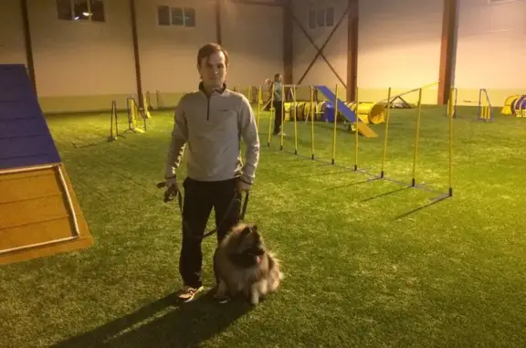 Спортивный комплекс для собак DogS HALL на улице Промышленная зона в Мурино