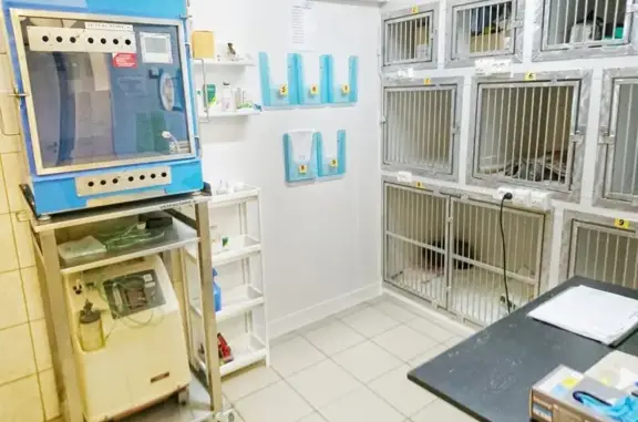 Перспектива-вет, ветеринарная клиника