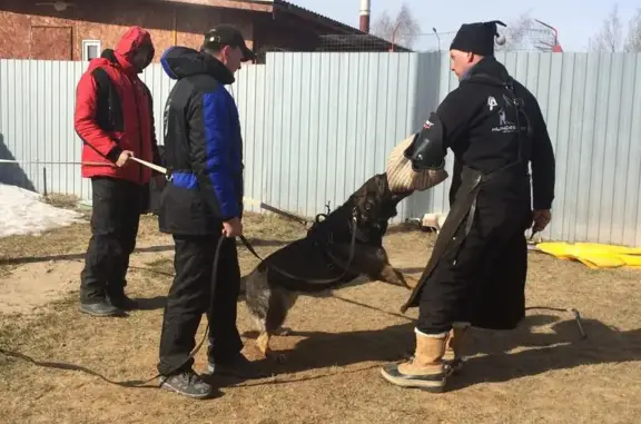 Спортивно-кинологический центр Олькар
