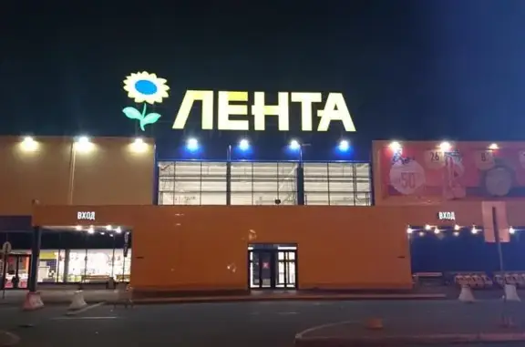 Лента Зоомаркет на Московском шоссе