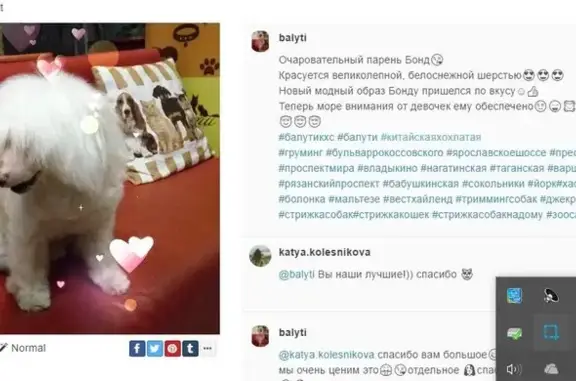 Зоосалон Балути на метро Бульвар Рокоссовского