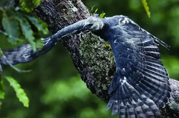 Зоомагазин Каштанка на Народной улице