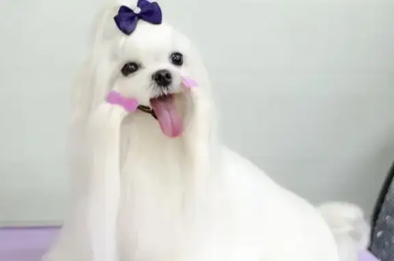 Зоосалон Mon Ami