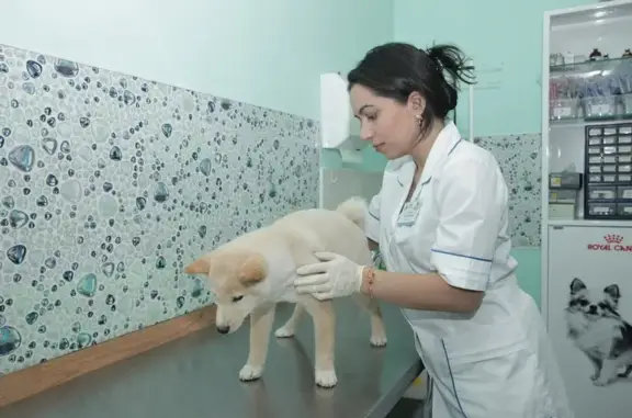 Первый ветеринарный центр