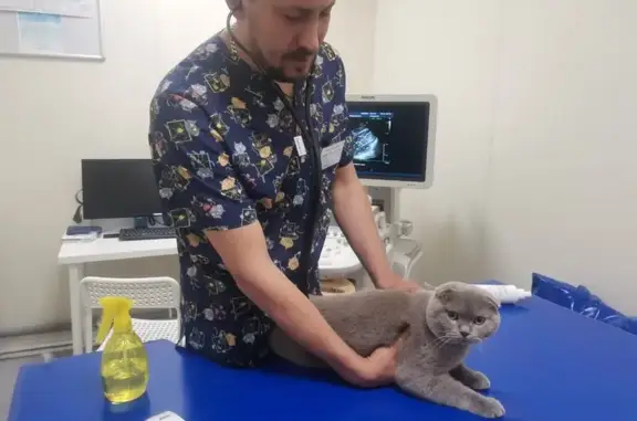 Ветеринарный центр доктора Базылевского А.А.