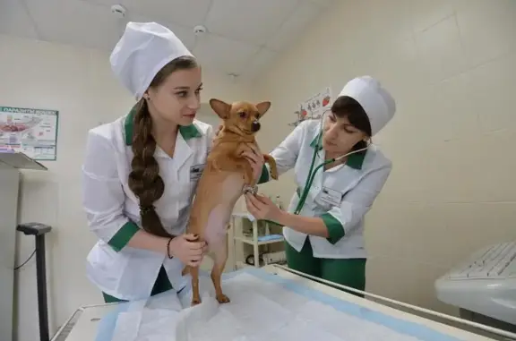 Челябинская городская ветеринарная станция по борьбе с болезнями животных, Тракторозаводской район