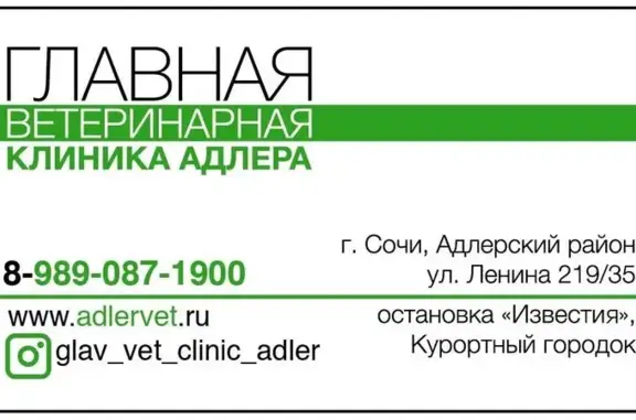 Главная ветеринарная клиника Адлера