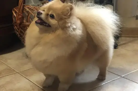 Зоосалон Джим Бим на Кустанайской улице