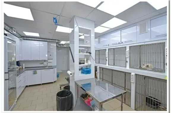 Ноев ковчег, ветеринарная клиника