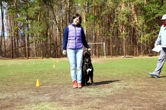 Дог-центр на улице Карбышева