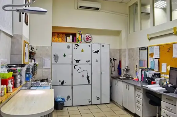 Эскулап, ветеринарная клиника