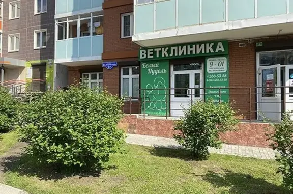 Ветеринарная клиника Белый пудель на улице Дмитрия Мартынова