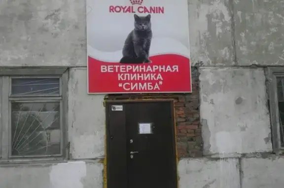 Симба, ветеринарная клиника