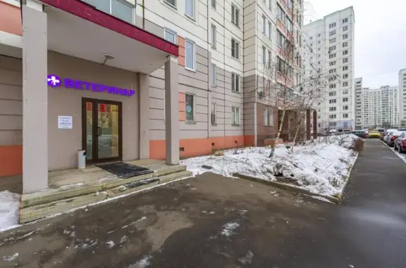 Ветеринарная клиника Зелёный кот на Дмитровском шоссе