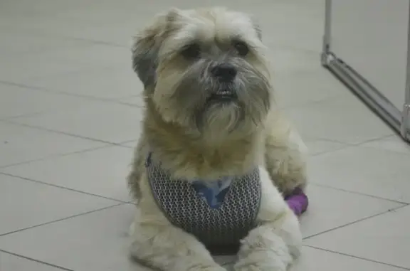 Ваш доктор, ветеринарная клиника