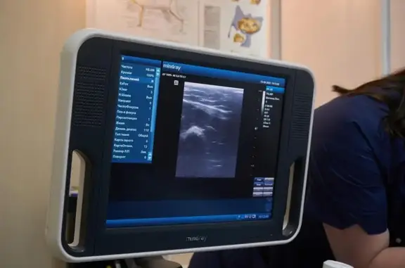 Ковчег, ветеринарная клиника