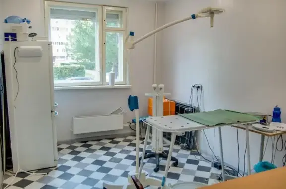 Скорая ветеринарная помощь