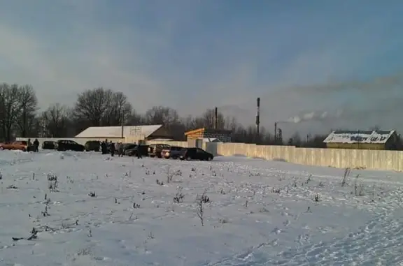 Дрессировочный центр ZooИмперия