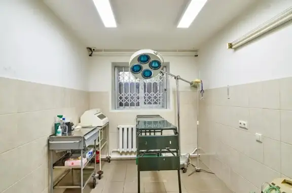 Ветеринарная клиника Зооветсервис на Петропавловской улице