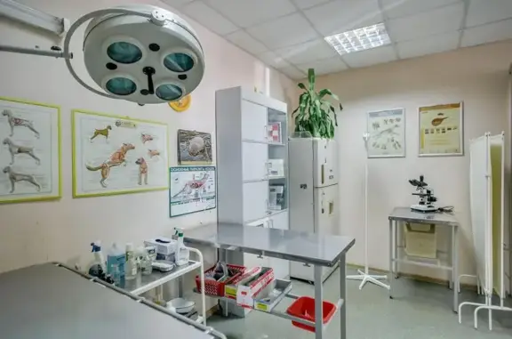 Ветеринарная клиника Пчелка на 14-й Линии