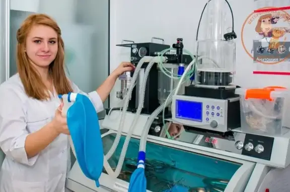 Добровет24, ветеринарный центр