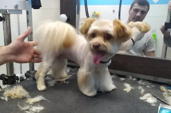 Ветеринарная клиника Зооцентр на Ильинке в Красногорске