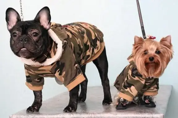 Энимал Центр, ветеринарная клиника