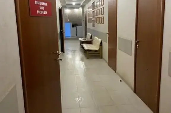 Vet Place, ветеринарная клиника