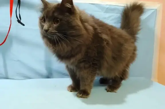 Ветеринарная клиника Доктор Пух в Лысьве