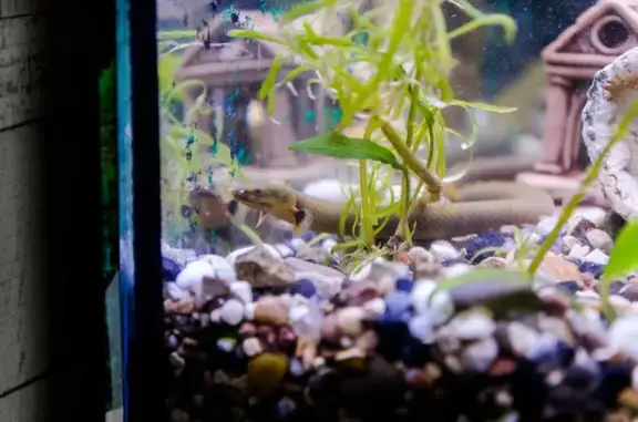 Ветздрав, ветеринарная клиника