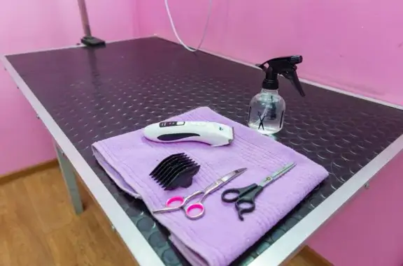 Аконит, ветеринарная клиника