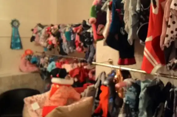 Зоосалон на Парашютной улице, 15