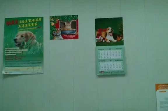 Кибела, ветеринарная клиника