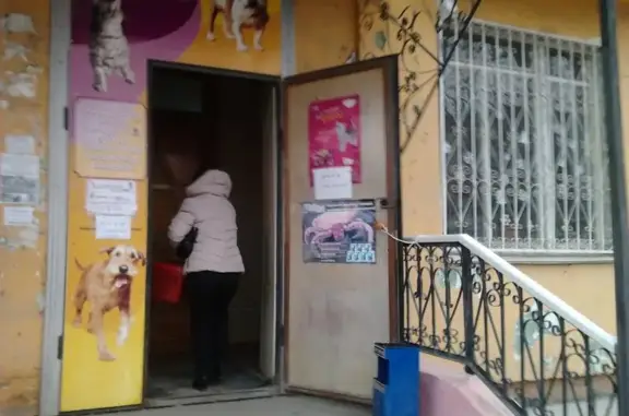 Ветеринарная клиника на улице Дубровинского