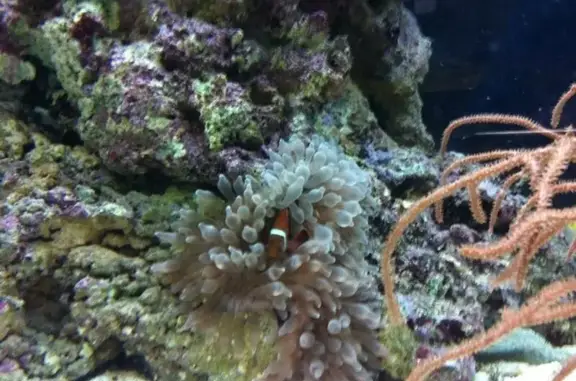 Зоосалон Лакки на Профсоюзной улице