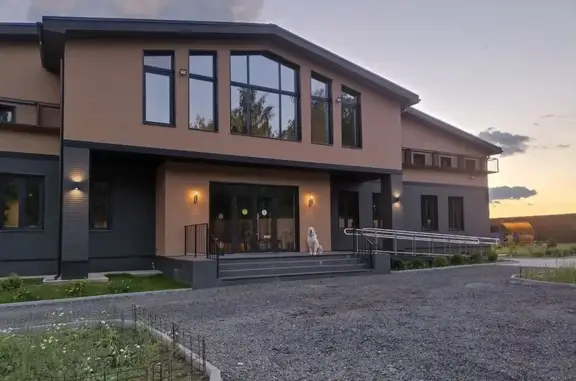 Зоогостиница Территория заботы