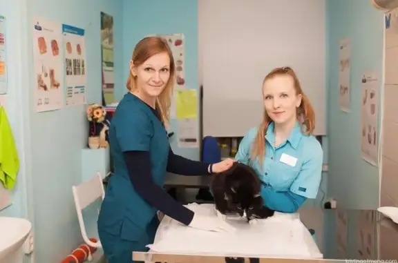 Доктор Неболит, многопрофильная ветеринарная клиника